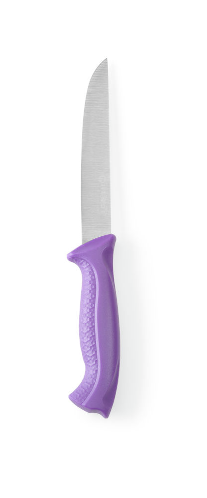 Hendi Fleischmesser 150/280 mm PP griff violett