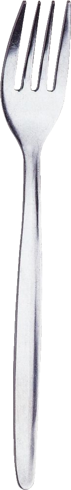 Besteckserie "Modell 80" 2,0 mm 18/0 Tafelgabel